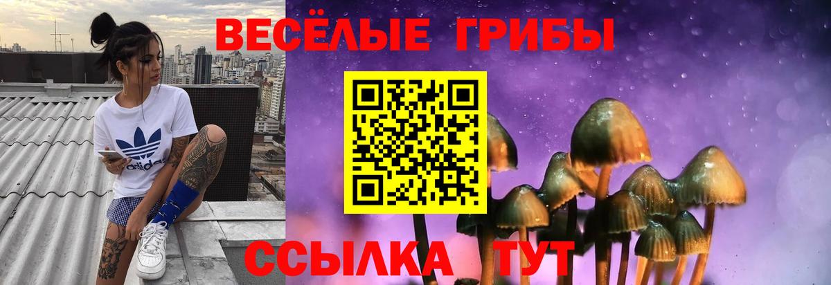 Псилоцибиновые грибы мицелий  Вход с VPN  Удомля 